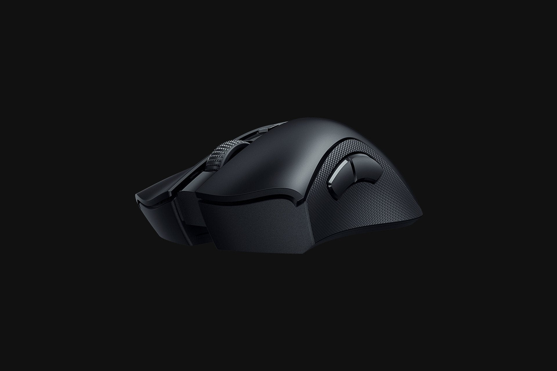 Razer DeathAdder V2 Pro - Black